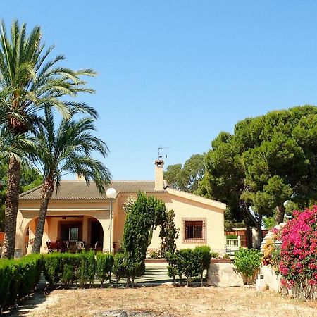 Villa Buganvilla Elche Exteriér fotografie