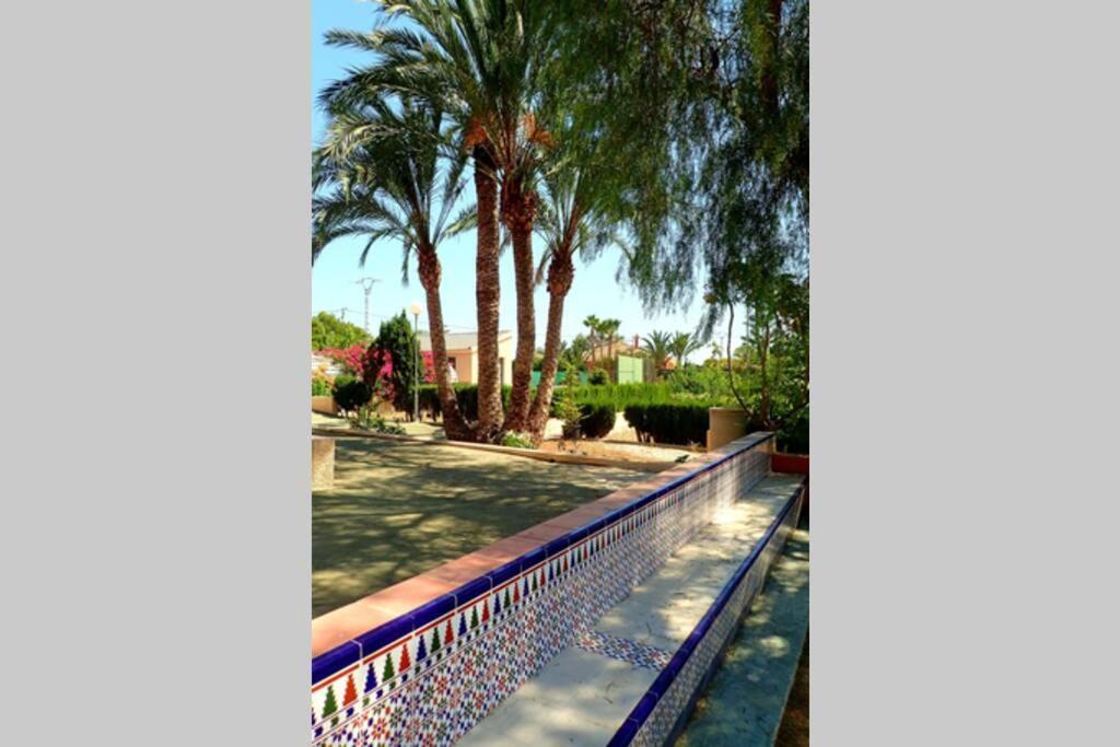 Villa Buganvilla Elche Exteriér fotografie