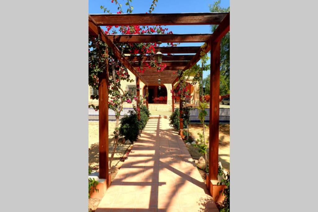 Villa Buganvilla Elche Exteriér fotografie