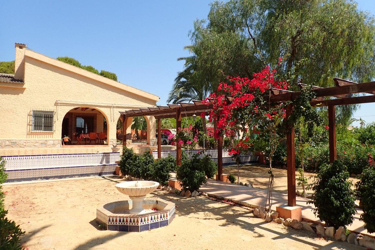 Villa Buganvilla Elche Exteriér fotografie